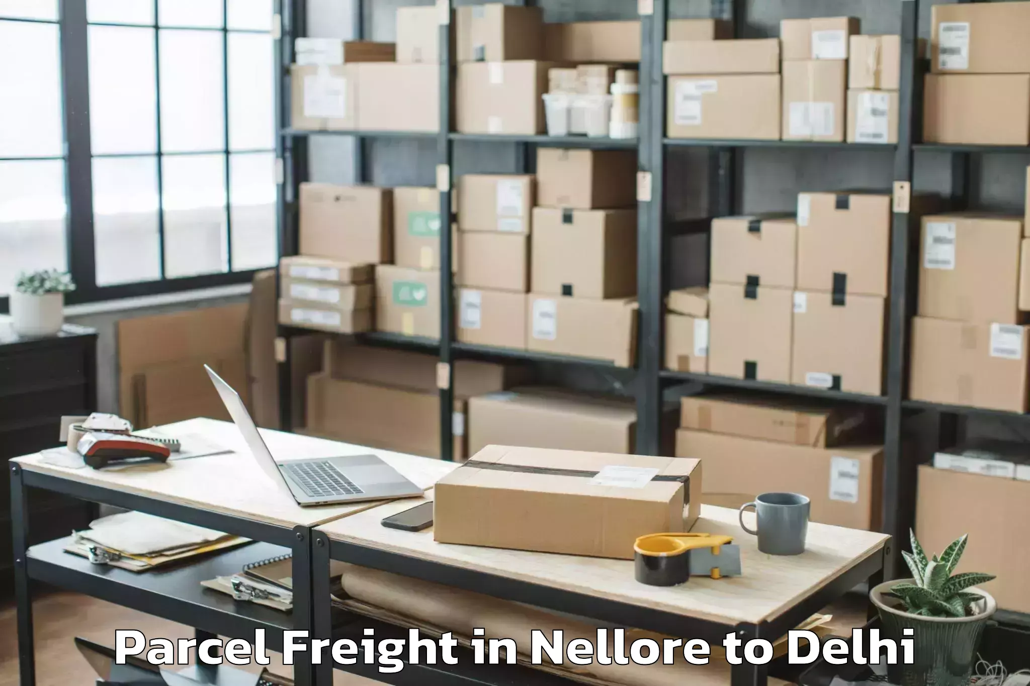 Quality Nellore to Ambience Mall Rohini Parcel Freight